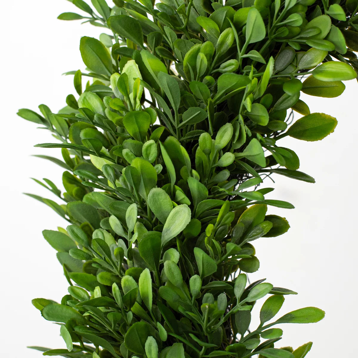 The Matthew John Collective 18-inch artificial boxwood wreath with lush green leaves on a twig frame