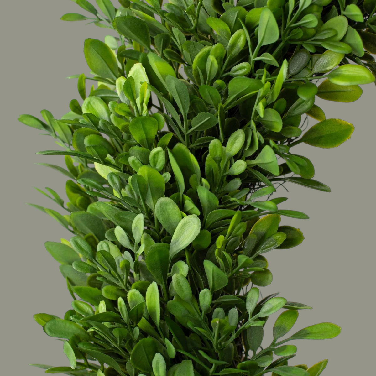 The Matthew John Collective 18-inch artificial boxwood wreath with lush, realistic green leaves on a twig frame.