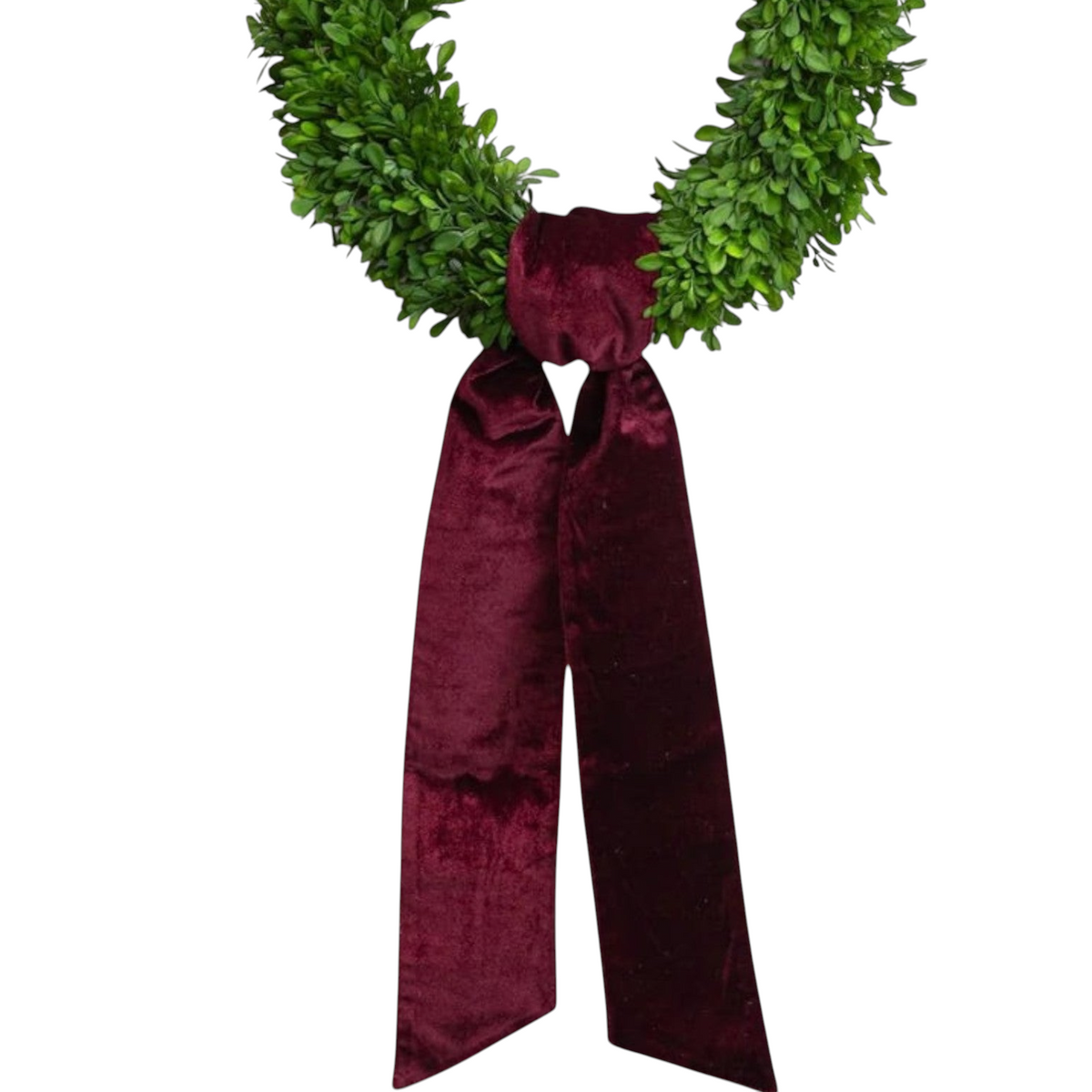 The Matthew John Collective burgundy velvet wreath sash tied on a green boxwood wreath with pointed ends