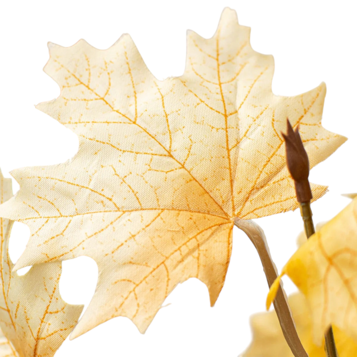 Close-up of a cream and beige silk maple leaf from The Matthew John Collective artificial fall foliage bush.