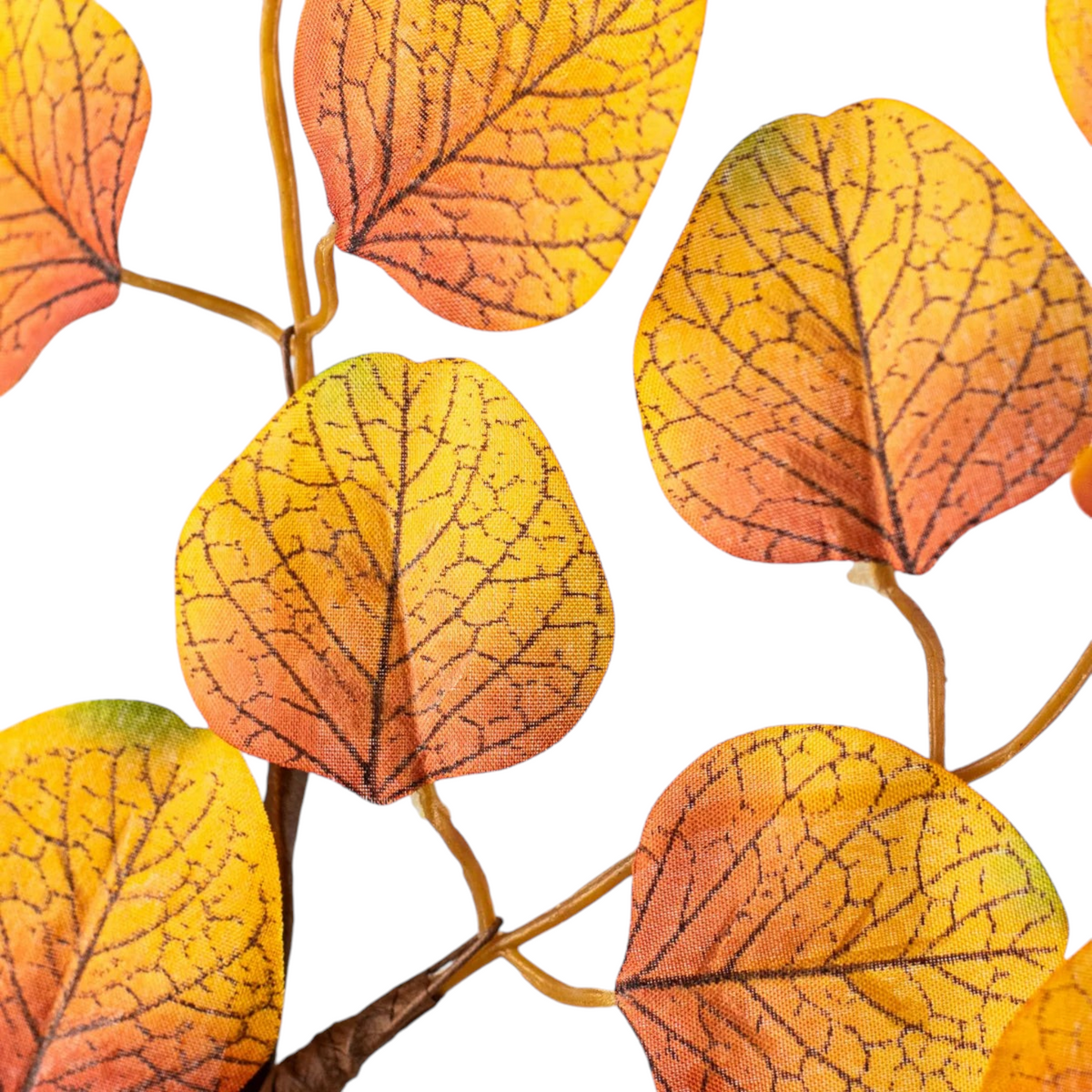 The Matthew John Collective 18-inch silk silver dollar eucalyptus spray with rust orange and green ombré leaves.