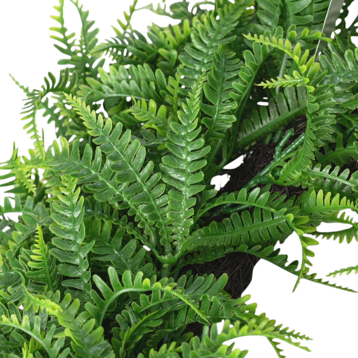 The Matthew John Collective 18-inch round fern wreath with realistic two-tone green plastic fronds on a vine frame.