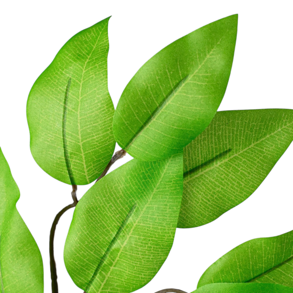 The Matthew John Collective lime green silk ficus leaves with detailed printed veining on a wired stem.