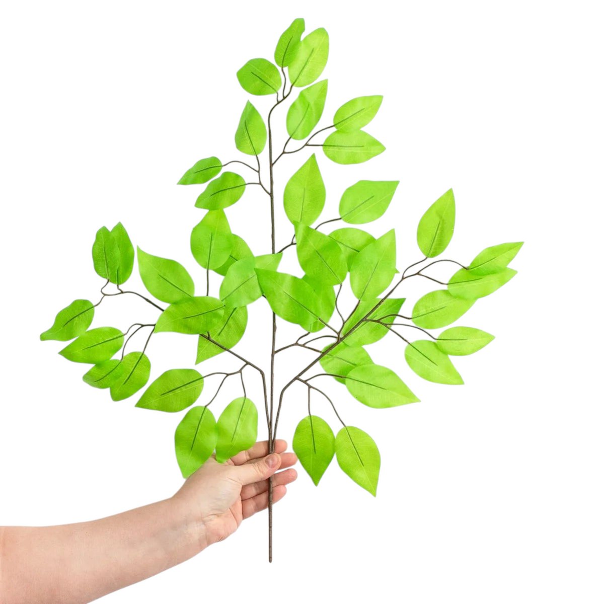 The Matthew John Collective lime green artificial ficus leaf spray with wired branches for floral arrangements.
