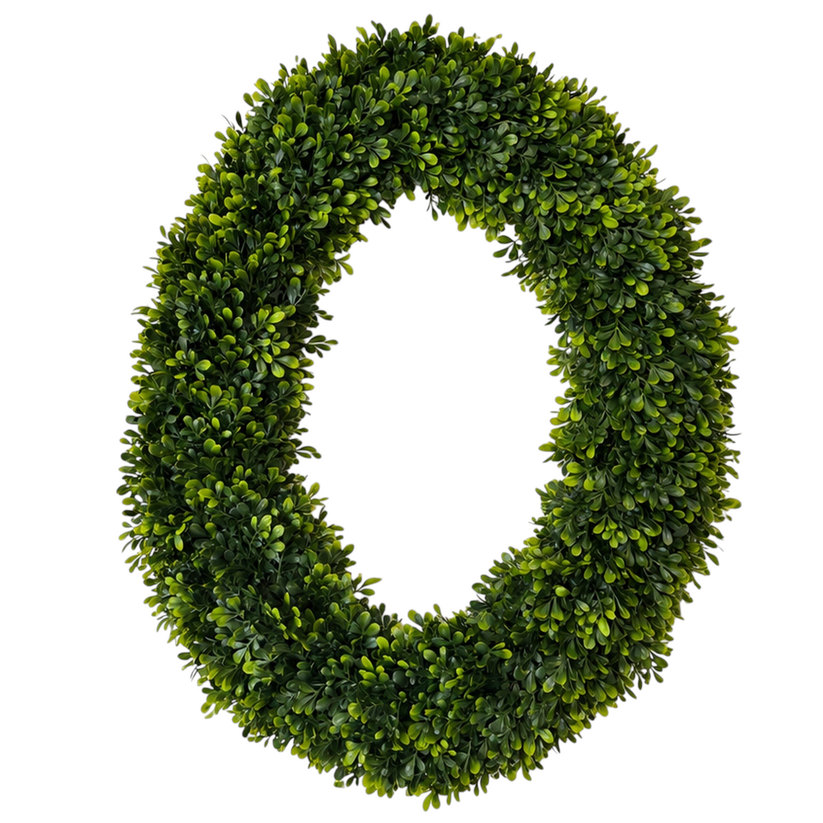 The Matthew John Collective 24x30 inch oval artificial boxwood wreath with lush, multi-tonal green foliage.
